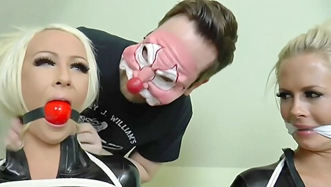 Catsuited Catburglars Catnapped